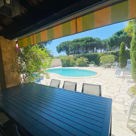 Les Pins Ensoleillés *