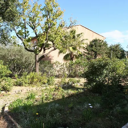 Les Pins Ensoleillés Villa Saint-Tropez